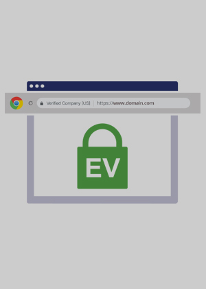 Extended Validation SSL services